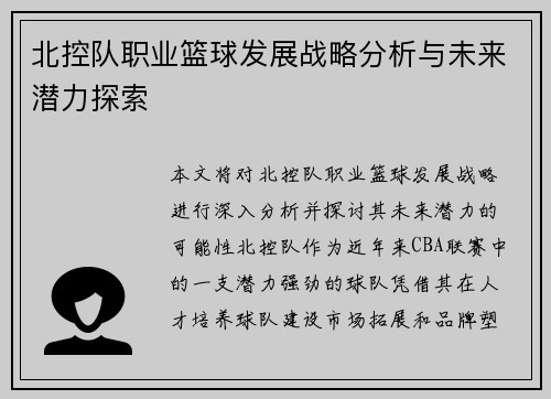北控队职业篮球发展战略分析与未来潜力探索